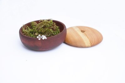 Mini náušnice Souznění